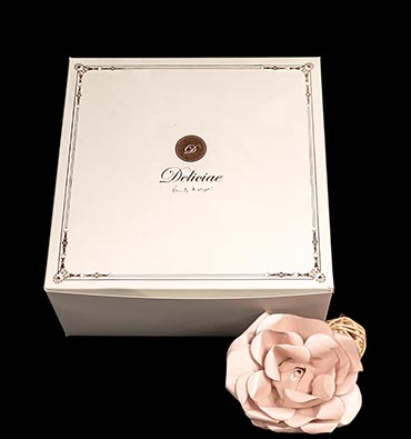 Rashi labels - boxes